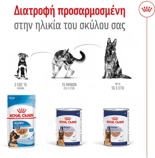 Royal Canin Maxi Nassfutter Hunde Diät 12x410gr