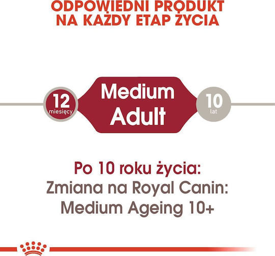 Royal Canin Medium Wet Dog Food with Meat 10x140g