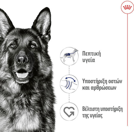 Royal Canin Maxi Wet Food for Senior Dogs Diet 12x410gr