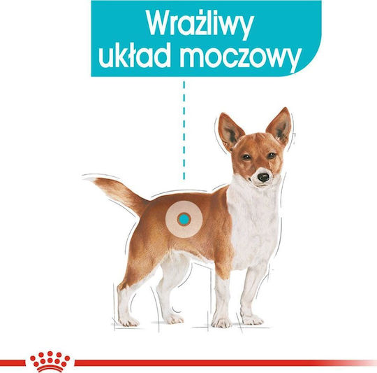 Royal Canin Urinary Care Wet Dog Food with Meat 12x85g
