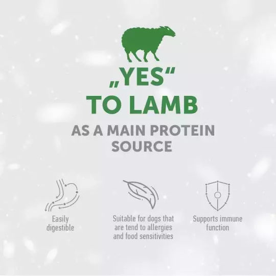 Nature's Protection Superior Care Dog Treats without Grains with Lamb 150g