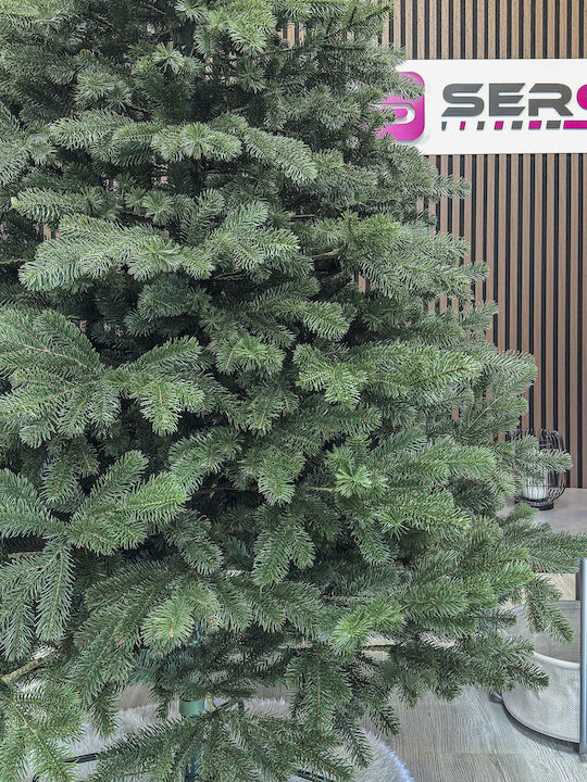 Christmas Tree Kovalivka Select 250cm with 763 Branches