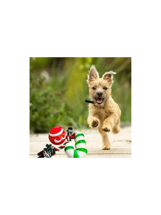 Festliches Set aus 3 Hundespielzeugen zum Kauen, Beißen, Ziehen