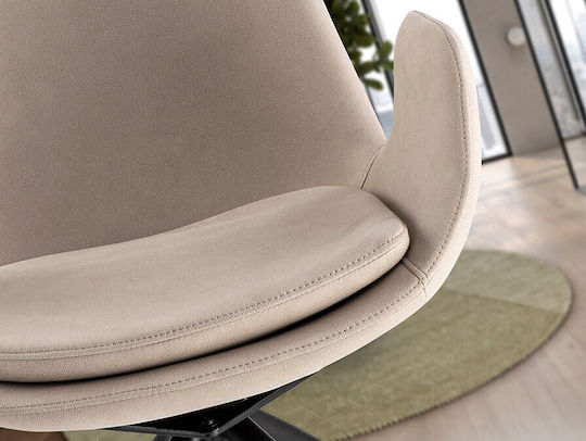 Stühle Speisesaal Beige 1Stück 59xx55cm