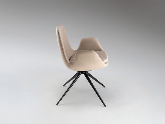 Stühle Speisesaal Beige 1Stück 59xx55cm