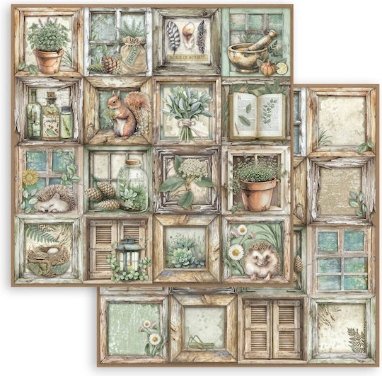 Χαρτιά Scrapbooking 10τεμ 30.5×30.5cm Stamperia Herbarium Silvae