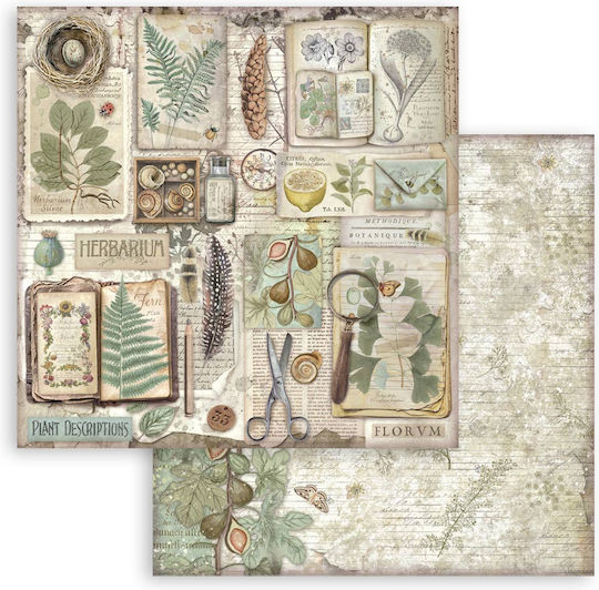 Χαρτιά Scrapbooking 10τεμ 30.5×30.5cm Stamperia Herbarium Silvae
