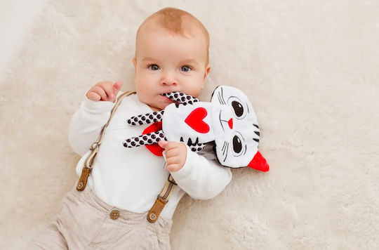 Dumel Discovery Suspendata Jucărie cu Teether pentru 0++ Luni