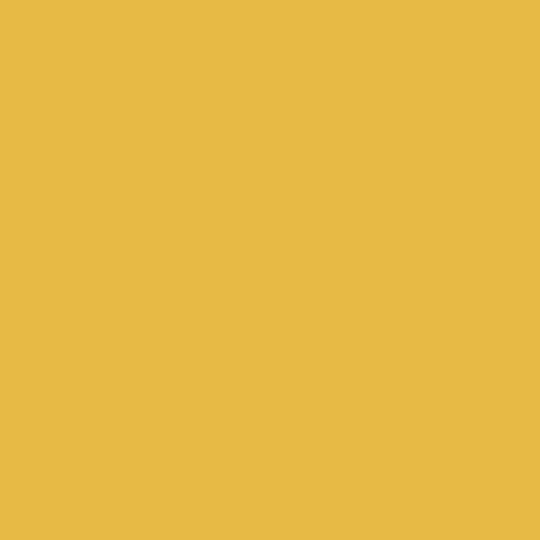 Royal Talens Royal Talens Ölfarbe 20ml Van Gogh Kadmiumgelb Lt 3s