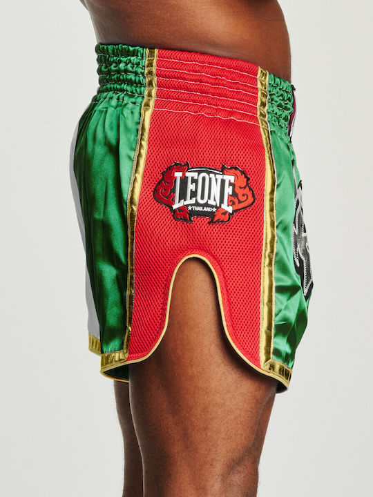 Leone 1947 Boxershorts Siam Thai Tricolore Italien