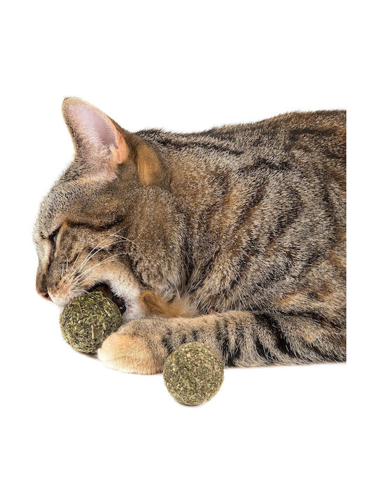Jucărie pentru pisici Roșu cu Catnip
