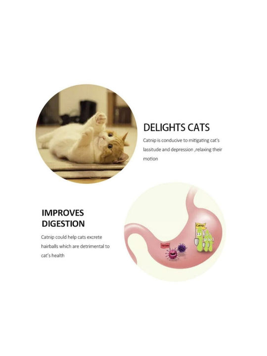 Παιχνίδι Γάτας Μπάλα Μπλε με Catnip 3τμχ