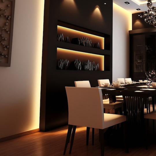 Eko Light Ταινία LED 24V Φυσικό Λευκό Φως 5m Τύπου COB με Τροφοδοτικό