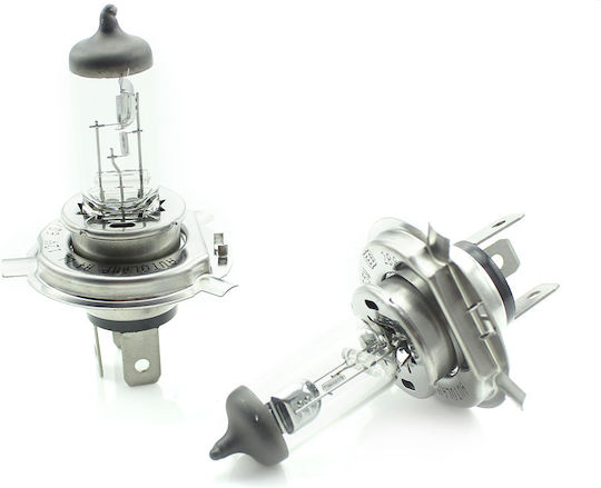 Set 1 Set 2 Lămpi Auto Halogen H4 55W +50% Intensitate Durată Lungă Carguard