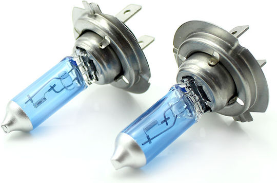 Set 2 Halogen H7 Birnenarten +100% Intensität Lange Lebensdauer CarGuard