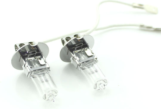 Set 1 Set 2 Halogen H3 Birnen 55w +50% Intensität Lange Lebensdauer CarGuard