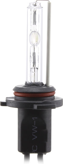 Bec Xenon 9006-6k Carguard
