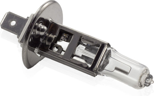 Bec Halogen H1 55W +30% Intensitate CarGuard