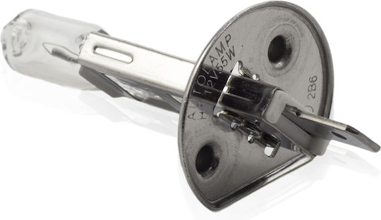 Bec Halogen H1 55W +30% Intensitate CarGuard