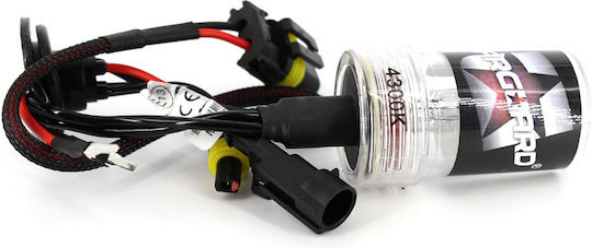 Bec Xenon H11-4.3k CarGuard