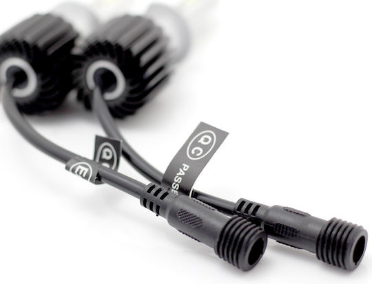 Set 1 Led H1 Carguard