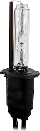 Bec Xenon H3-4.3k CarGuard