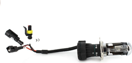 Xenon Bulb H4-4.3k Carguard