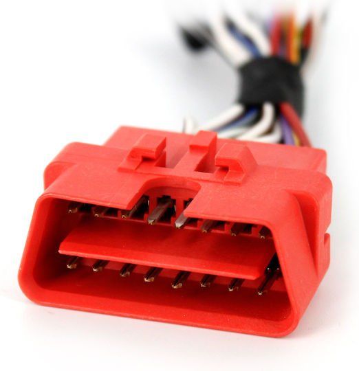 Can-700 Dedicated Cable Peugeot Carguard