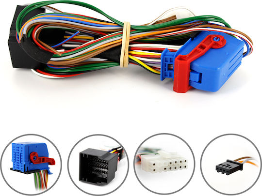Can-700 Cablu Dedicat Citroen Fiat Iveco Lancia Peugeot Carguard