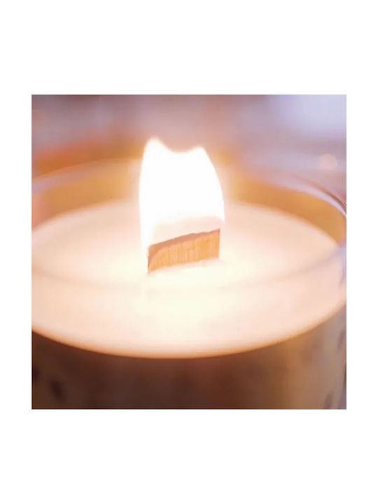Durance Αρωματικό Κερί σε Βάζο Πράσινο 280gr