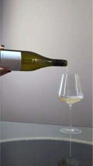 Ktima Apostolidi Organic Wine Paleochori Sauvignon Blanc White Dry 750ml