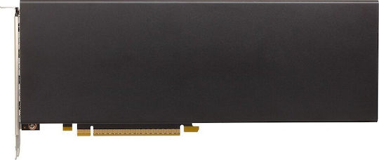 Sparkle 24GB GDDR6 Arc Pro B60 Passive Graphics Card