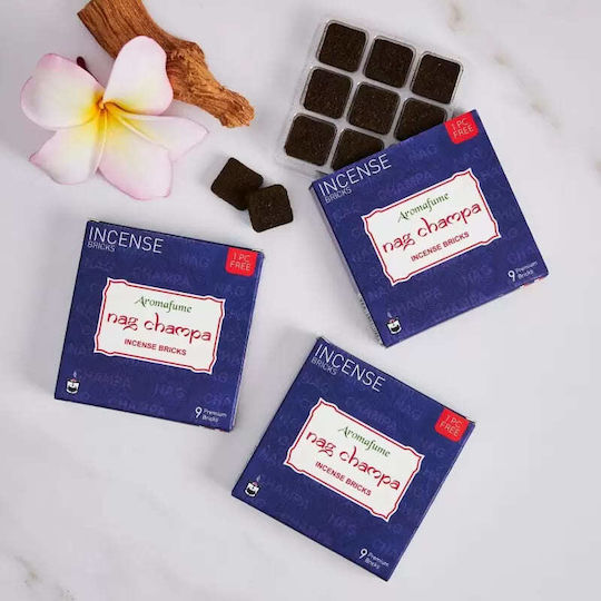 Incense Bricks Nag Champa 10 Pieces