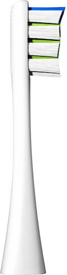 Oclean P1c1 Toothbrush Head 6 Pcs