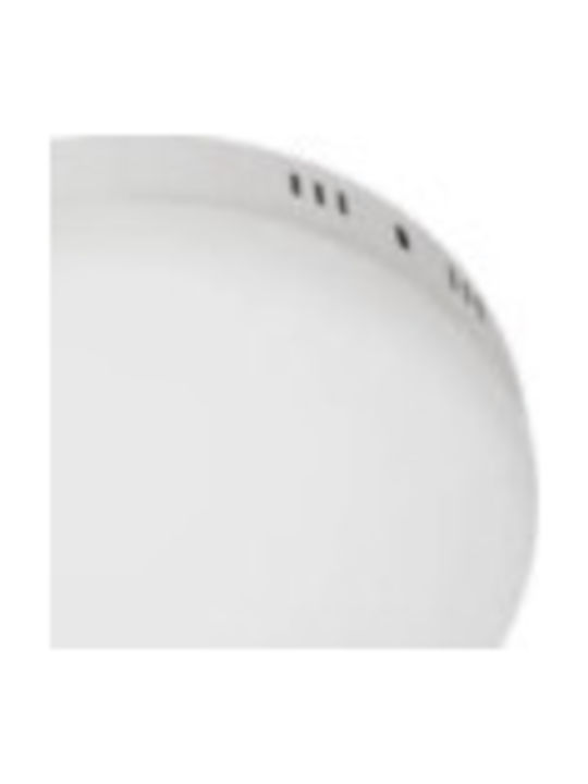 Alista Home Rotund Panou LED Putere 24W cu Alb Rece Lumini