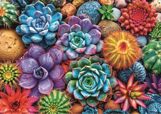 Colorful Succulents Puzzle 2D 1000pcs
