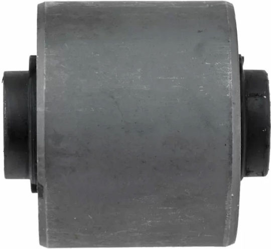 Tufișuri pentru Nissan Navara / Căutător de drumuri 54721-EA300
