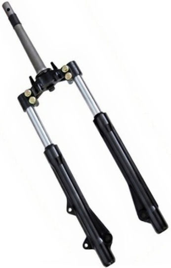 Front Fork Complete Daytona Dy 125 Rs E5 Black Tubes