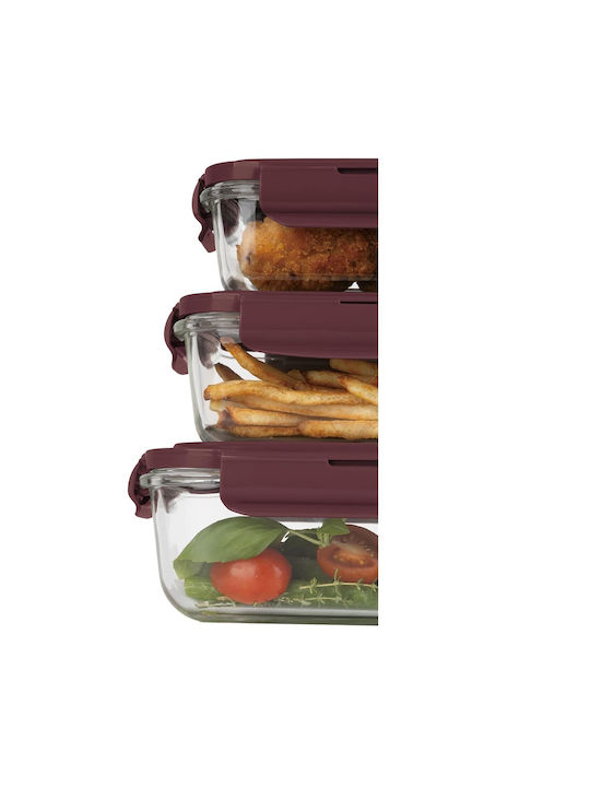 Berlinger Haus Lunchbox Glas Burgundy 3Stück