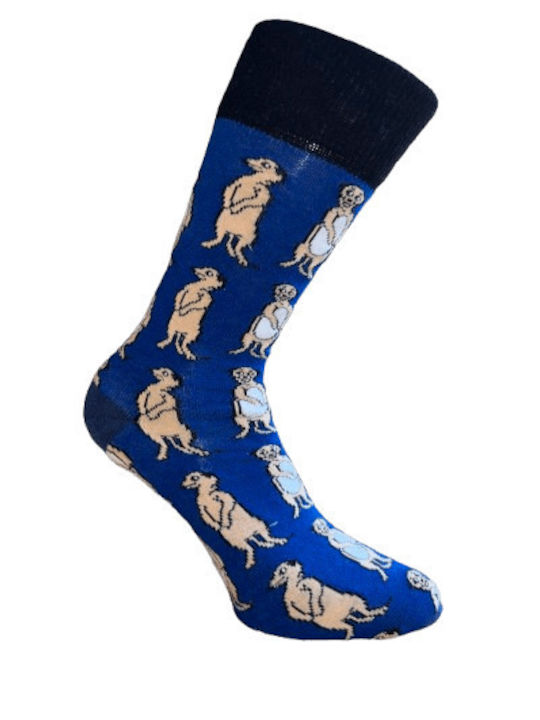 Kal-tsa Men's Socks Multicolour 5Pack