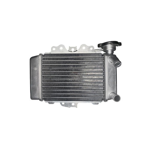 Water Radiator Honda Sh 125cc-150cc 2001>2004 Roc122947