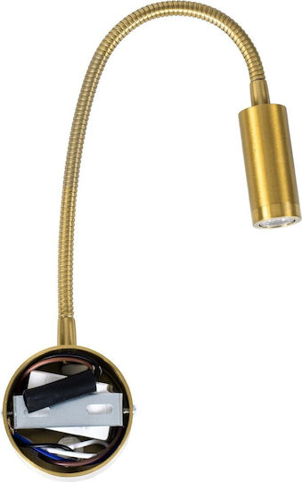 GloboStar Goose Einzel LED Warmes Weiß Spot in Gold Farbe