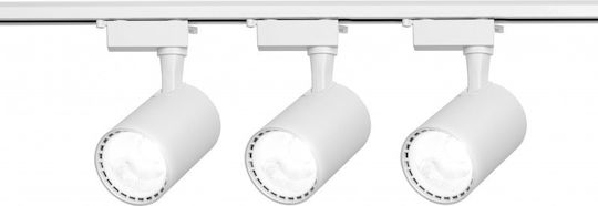 30w LED Natural White Spot with 10 Lights in White Color