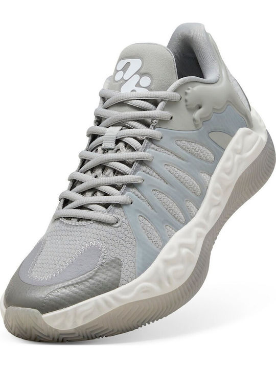 Hali 1 Niedrig Basketballschuhe Gray Echo / Feather Gray