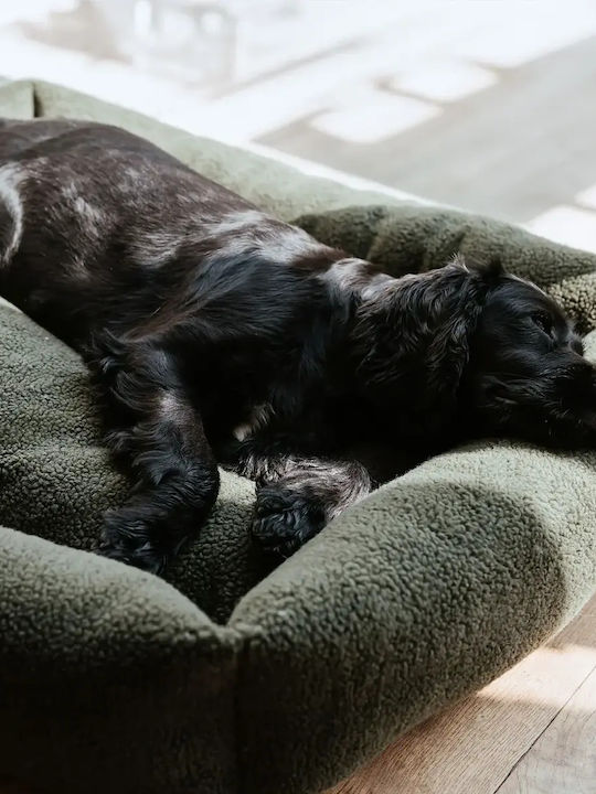 Hunter Sofa Hundebett Grün