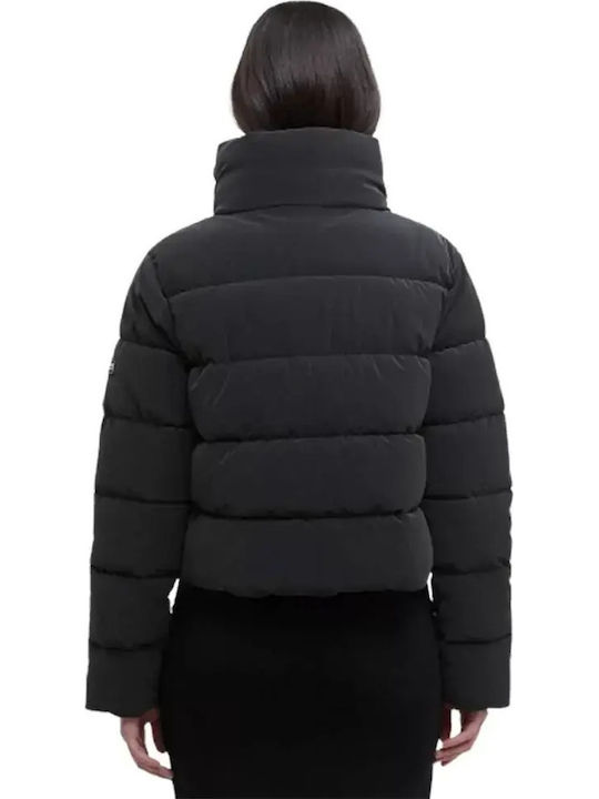 Barbour Barbour