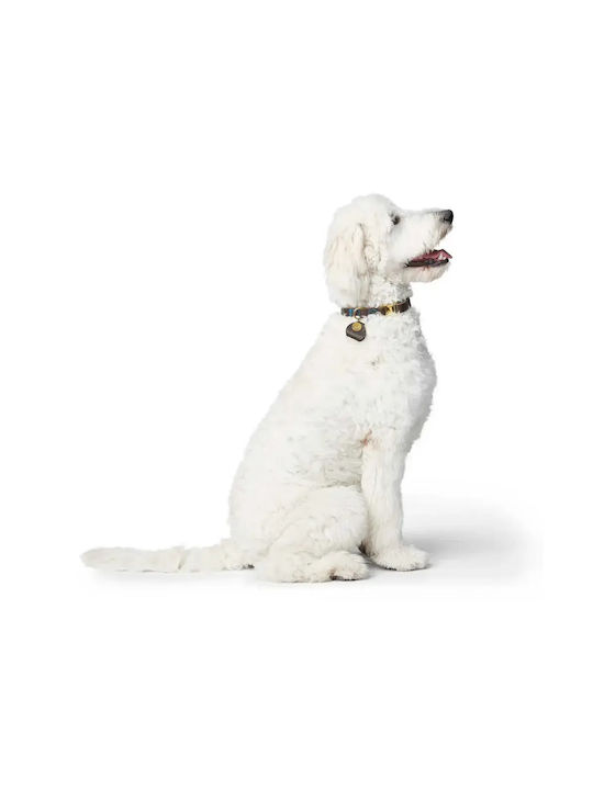 Leder Hundehalsband Hunter Sansibar Mittel Dunkelbraun
