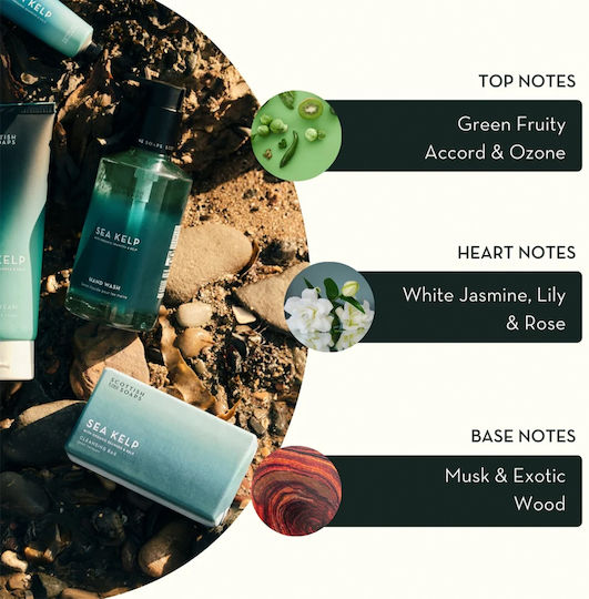 The Scottish Fine Soaps Săpun Lichid Cu Pantenol 300ml