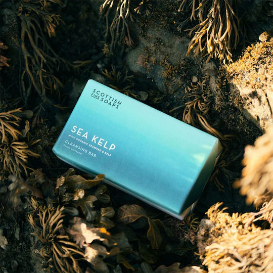 The Scottish Fine Soaps Μπάρα Σαπουνιού με Γλυκερίνη 220gr