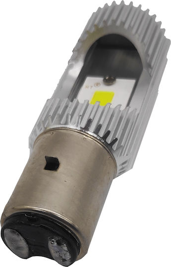 Reflektor für Elektro-Roller 481